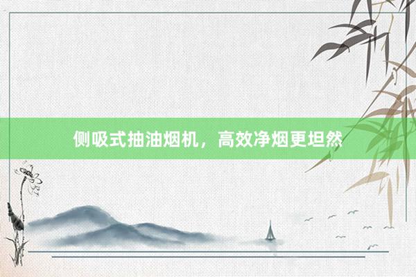 侧吸式抽油烟机，高效净烟更坦然