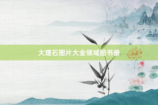 大理石图片大全领域图书册